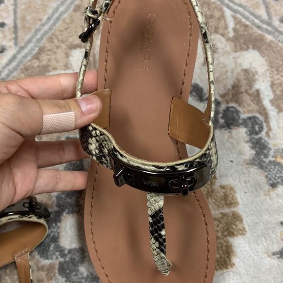 Coach Python Sandals - Picture 5 of 10